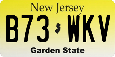 NJ license plate B73WKV