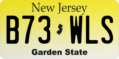 NJ license plate B73WLS