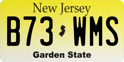 NJ license plate B73WMS
