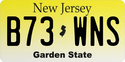 NJ license plate B73WNS