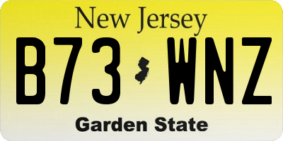 NJ license plate B73WNZ