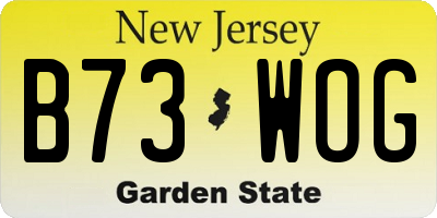 NJ license plate B73WOG