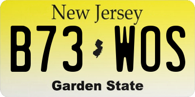 NJ license plate B73WOS