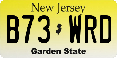 NJ license plate B73WRD