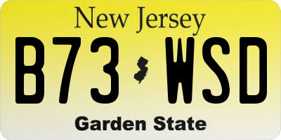 NJ license plate B73WSD