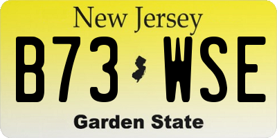 NJ license plate B73WSE