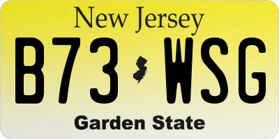 NJ license plate B73WSG