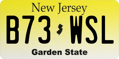 NJ license plate B73WSL