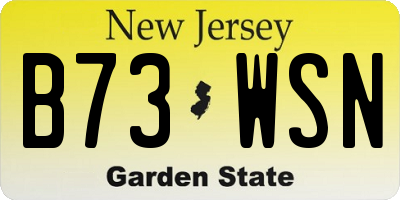 NJ license plate B73WSN
