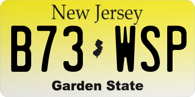 NJ license plate B73WSP