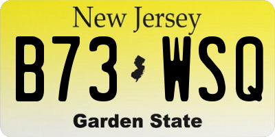 NJ license plate B73WSQ