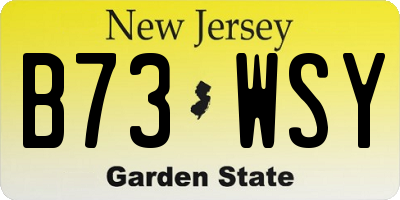 NJ license plate B73WSY