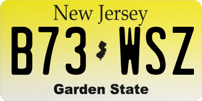 NJ license plate B73WSZ