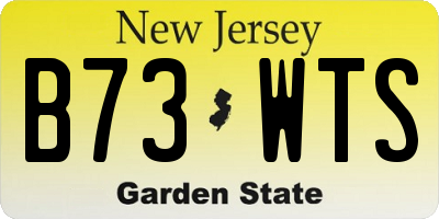 NJ license plate B73WTS