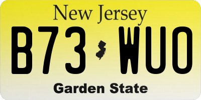 NJ license plate B73WUO