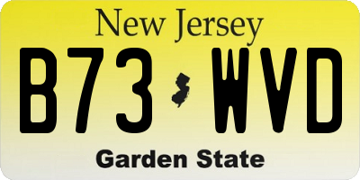 NJ license plate B73WVD