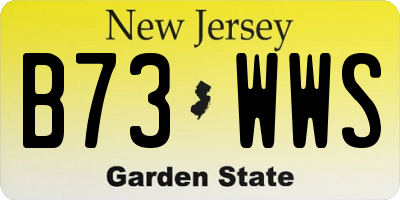 NJ license plate B73WWS