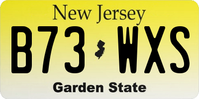 NJ license plate B73WXS