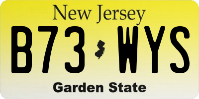 NJ license plate B73WYS