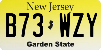 NJ license plate B73WZY