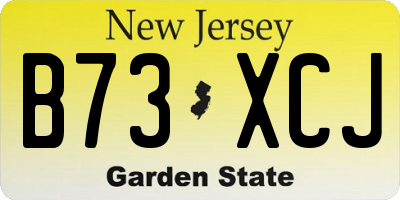 NJ license plate B73XCJ