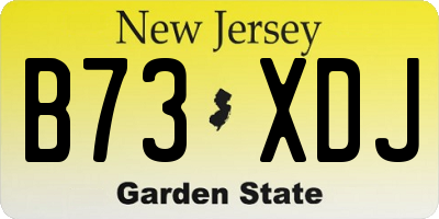 NJ license plate B73XDJ