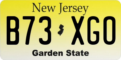 NJ license plate B73XGO