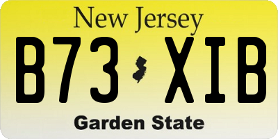 NJ license plate B73XIB