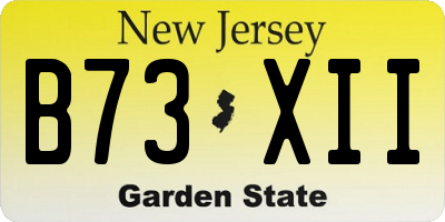 NJ license plate B73XII