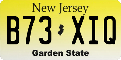 NJ license plate B73XIQ