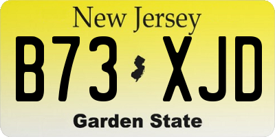 NJ license plate B73XJD