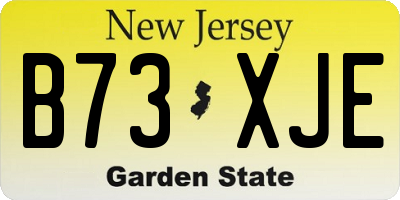 NJ license plate B73XJE