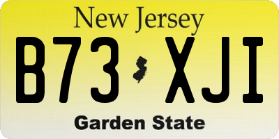 NJ license plate B73XJI