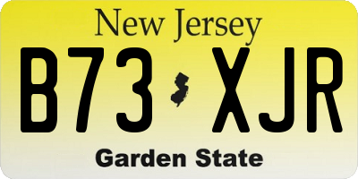 NJ license plate B73XJR