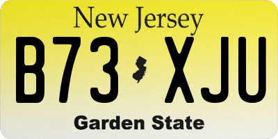 NJ license plate B73XJU