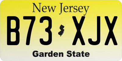 NJ license plate B73XJX