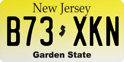 NJ license plate B73XKN