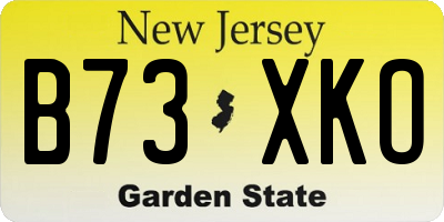 NJ license plate B73XKO