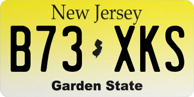 NJ license plate B73XKS