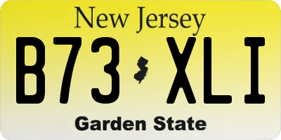 NJ license plate B73XLI