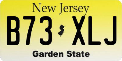 NJ license plate B73XLJ