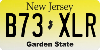 NJ license plate B73XLR