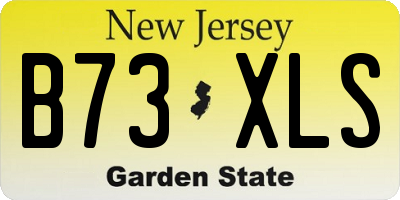 NJ license plate B73XLS