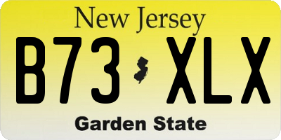 NJ license plate B73XLX