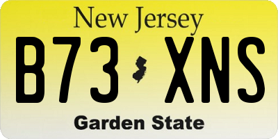 NJ license plate B73XNS