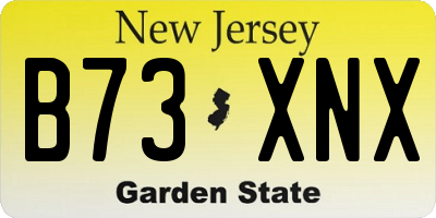 NJ license plate B73XNX