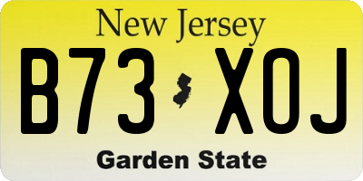 NJ license plate B73XOJ