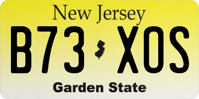 NJ license plate B73XOS