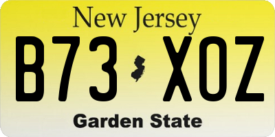 NJ license plate B73XOZ