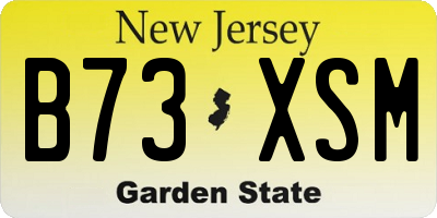 NJ license plate B73XSM